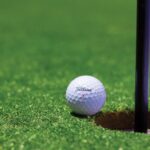 GOLF Q2 2026 earnings