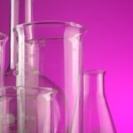 Purple Style Labs IPO