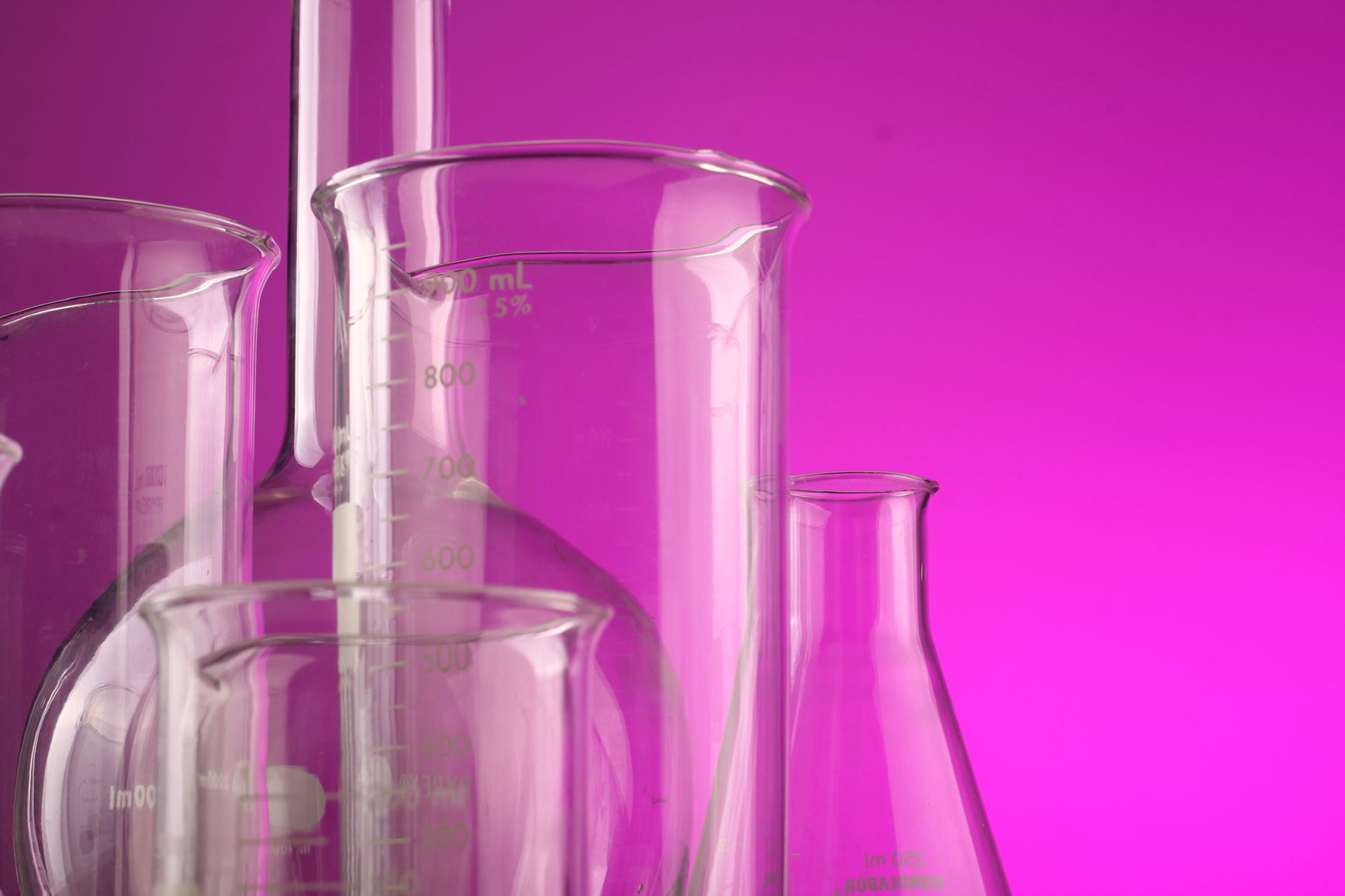Purple Style Labs IPO: Clear Insights on Current Price & Details