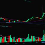stock markets rise